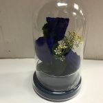 3 roses éternelles bleus dans un bocal en verre